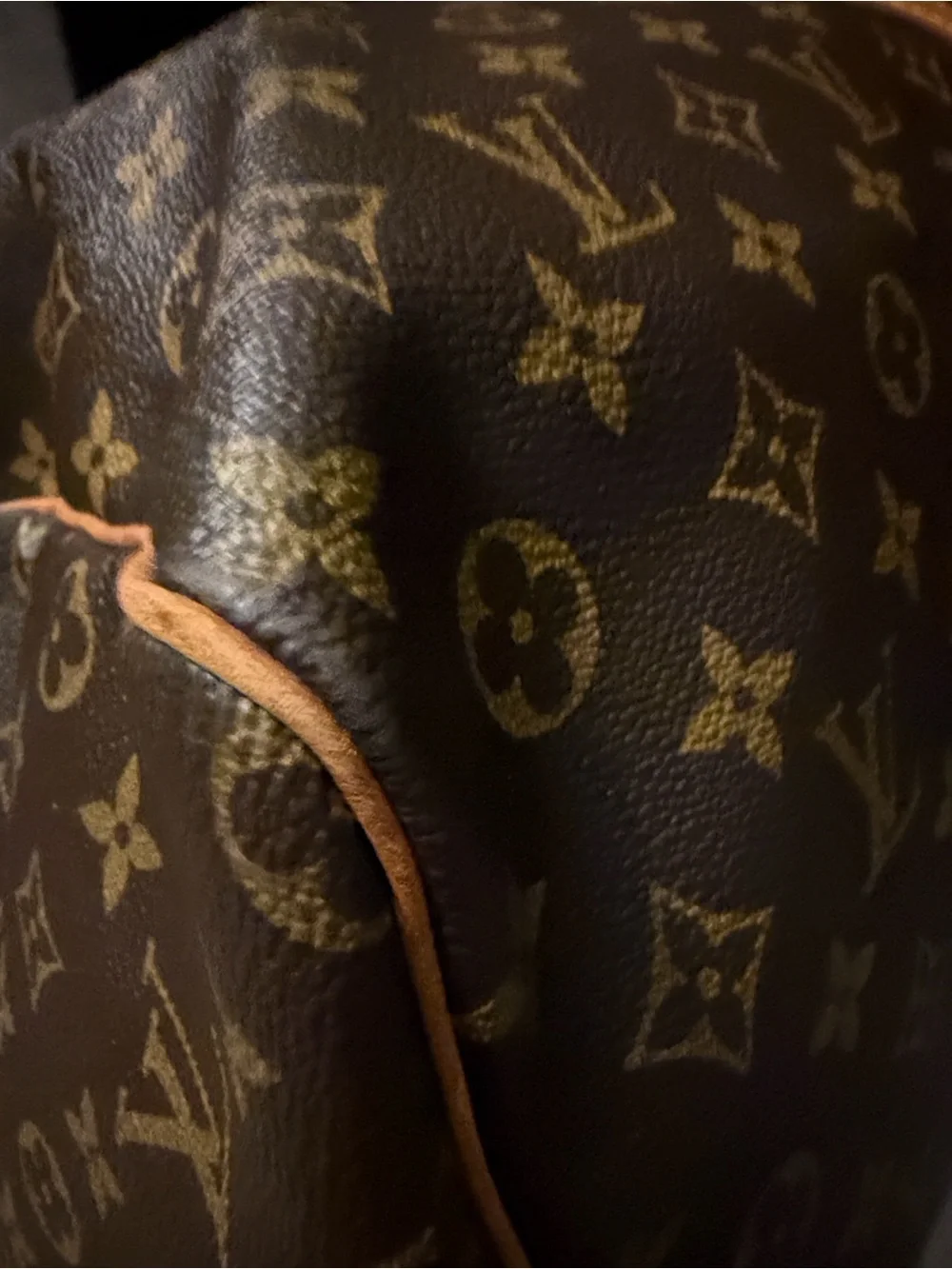 Louis Vuitton iconic louis